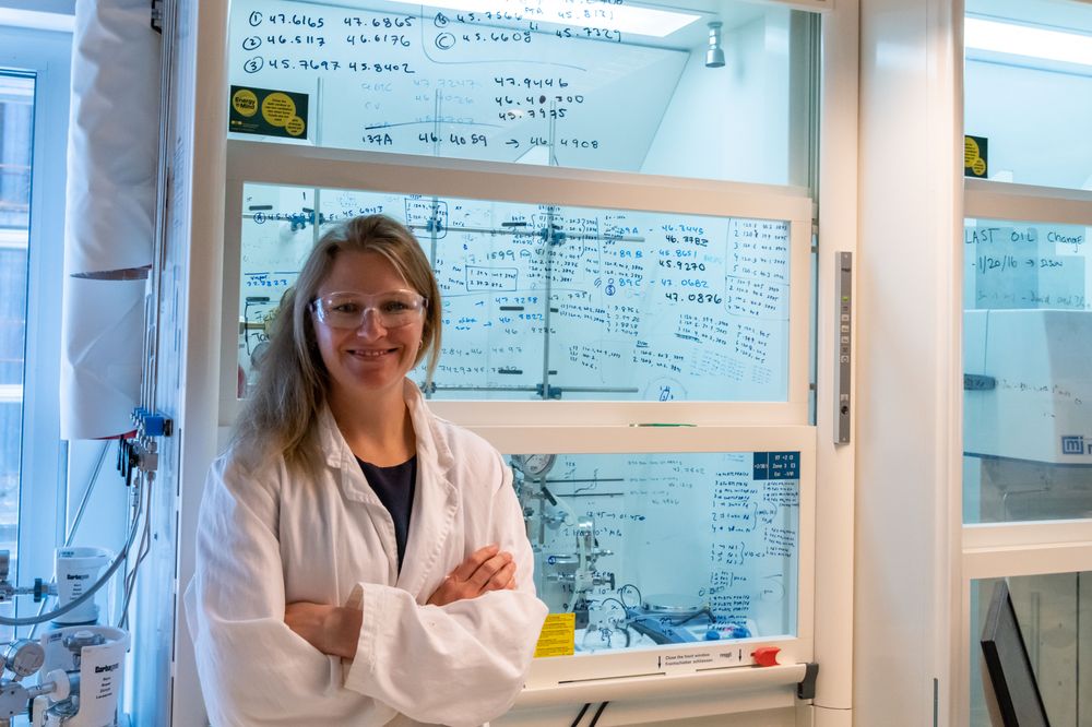 Ein Superschwamm für alle Fälle