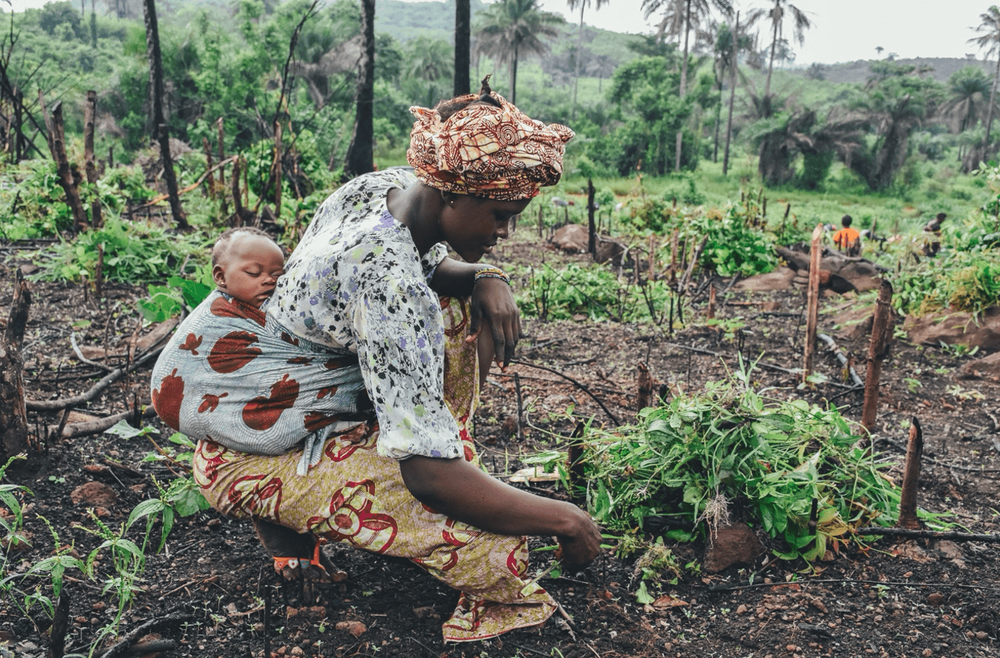 Foto: Annie Spratt / Unsplash