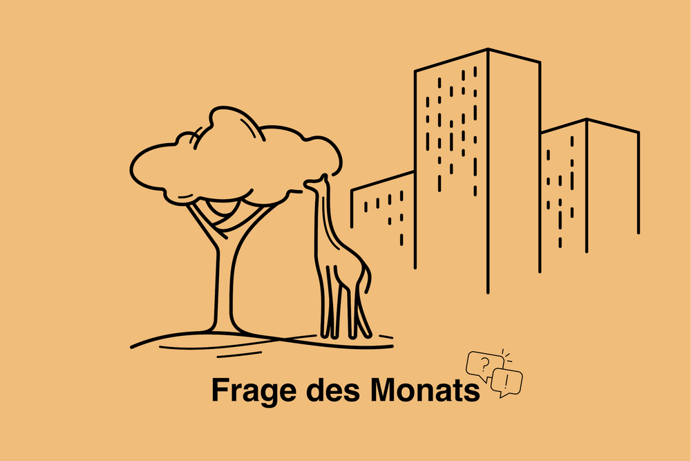 Grünere Städte oder Wohnraum für alle?