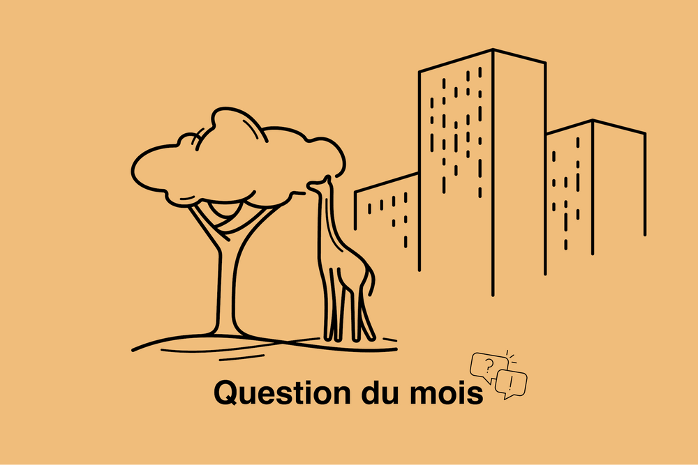 Des villes plus vertes ou des logements pour tous?