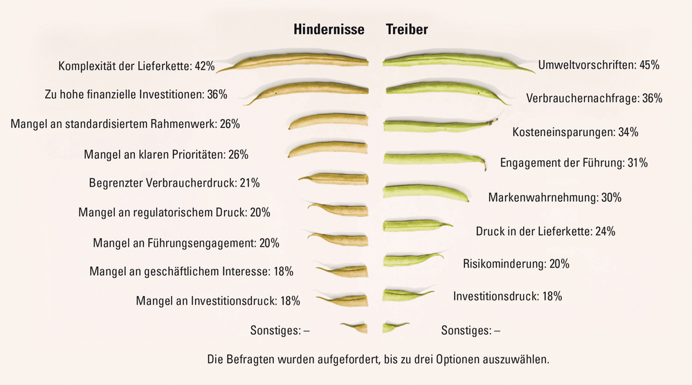 Grafico: Studio Quantis "Ricetta per la trasformazione" (2024)