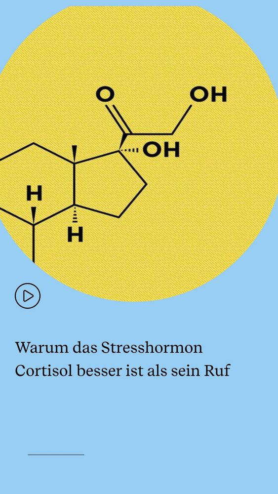 Warum das Stresshormon
Cortisol besser ist als sein Ruf