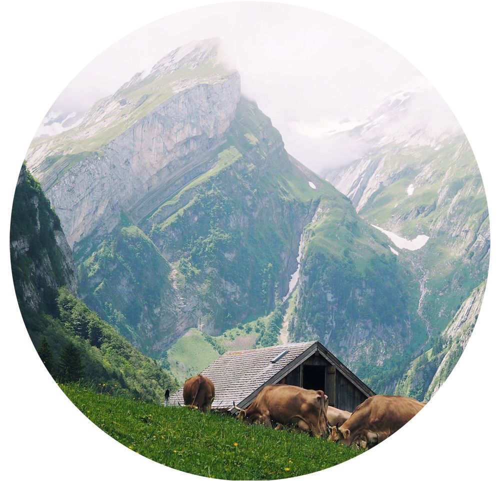 Boston Consulting Group (BCG)