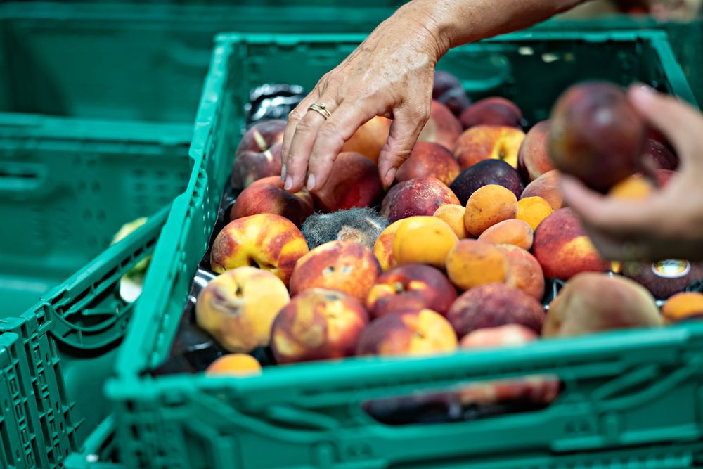 Foto: Michele Limina