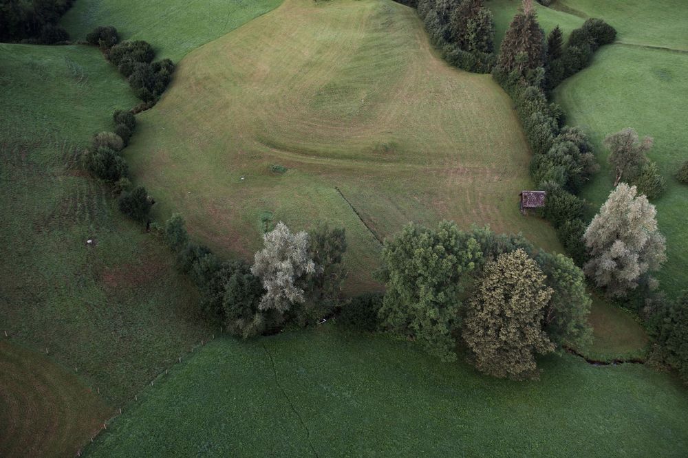 In der intensiv genutzten Landschaft bilden Hecken wichtige Oasen der Biodiversität – und können die fragmentierten Lebensräume gefährdeter Arten verbinden.