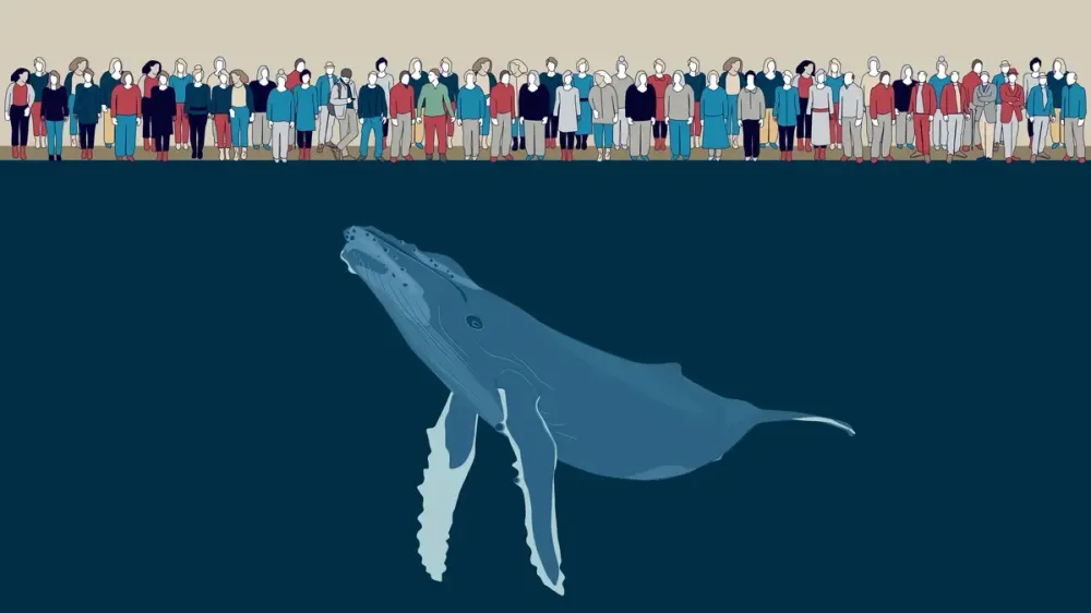 Säugetiere wie Buckelwale oder Elefanten sind gross und schwer. Doch ihre Biomasse ist viel geringer als die der Menschheit.