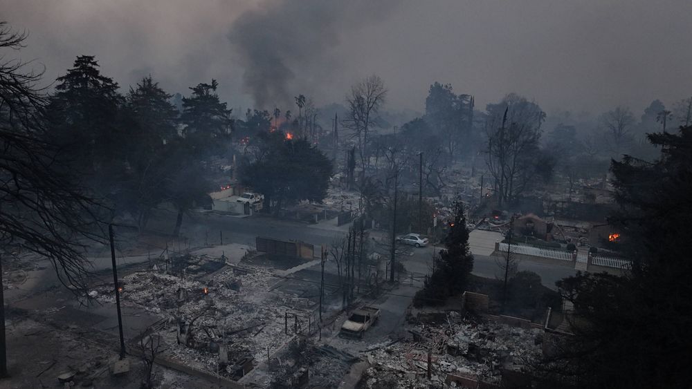 Der Stadtteil Pacific Palisades wurde bei dem verheerenden Feuer fast komplett zerstört