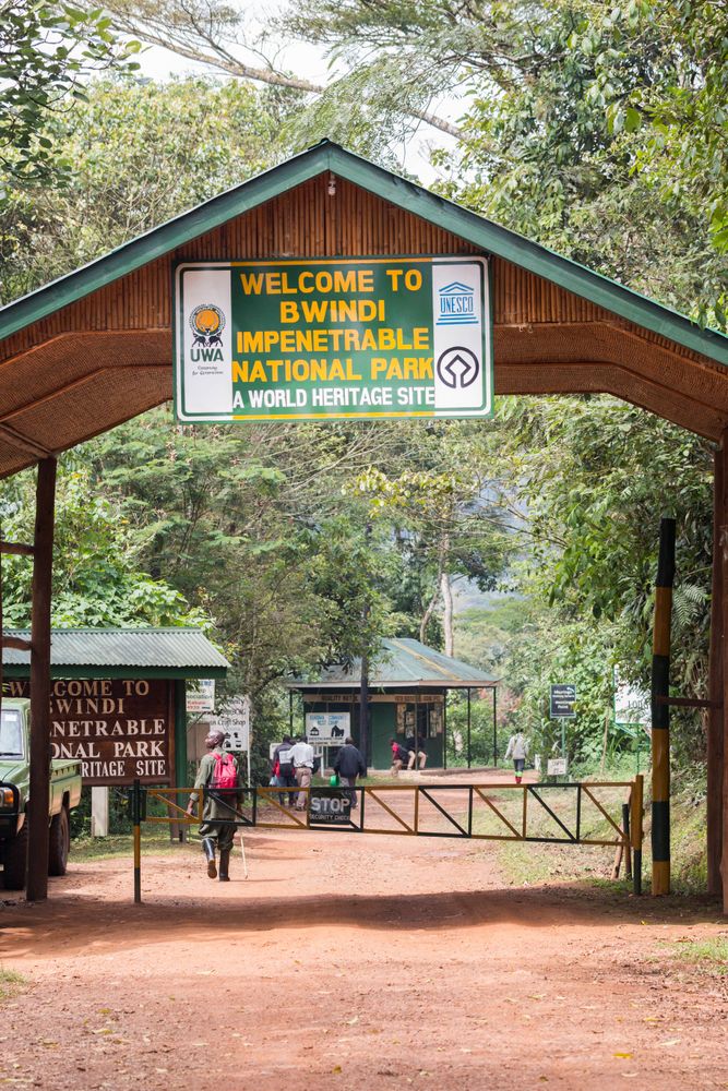 Gefährliches Paradies: Eingang zum Bwindi-Nationalpark.