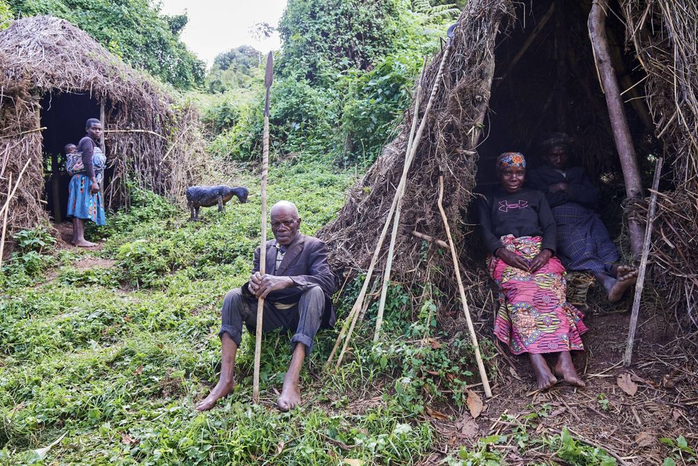Einst wohnten die Batwa im Wald - bis sie vertrieben wurden.