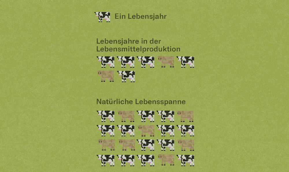 Illustration zur Lebensdauer von Milchkühen