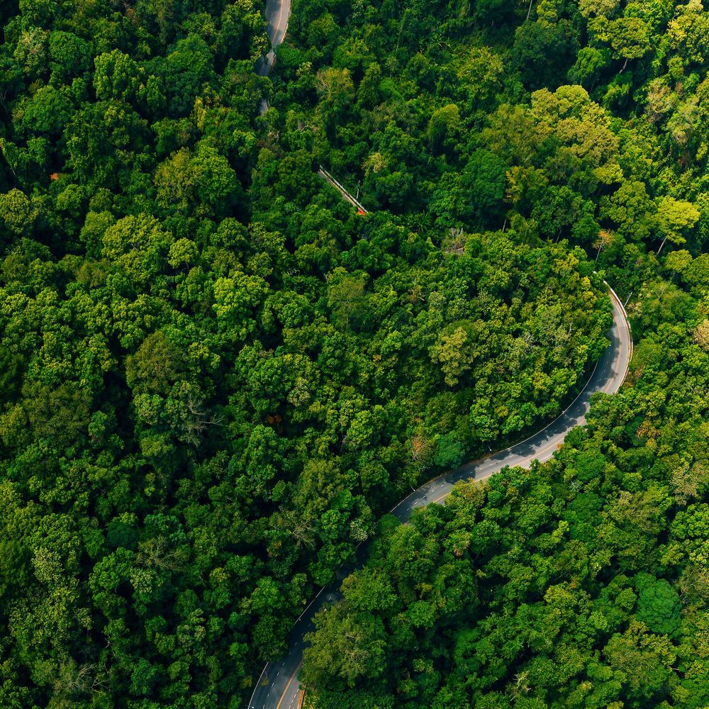 Resiliente Wertschöpfung