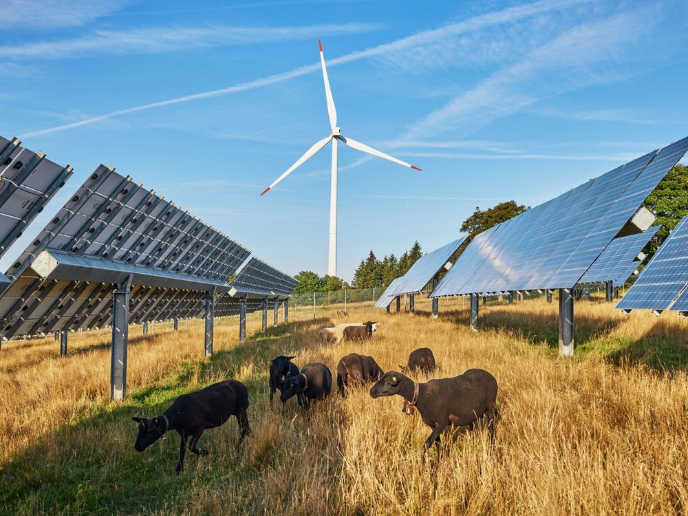 Photo: BKW / Daniel Hager 