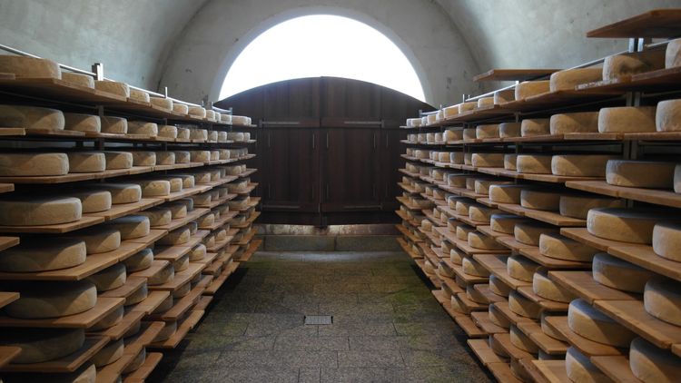 Gewölbekeller der Käserei