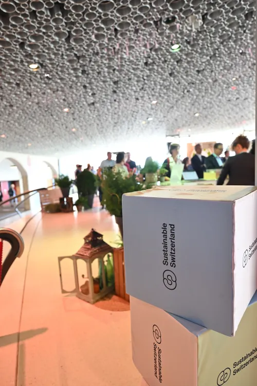 SSF_23-Fotos_WEB_2400px-Netzwerkzone-135