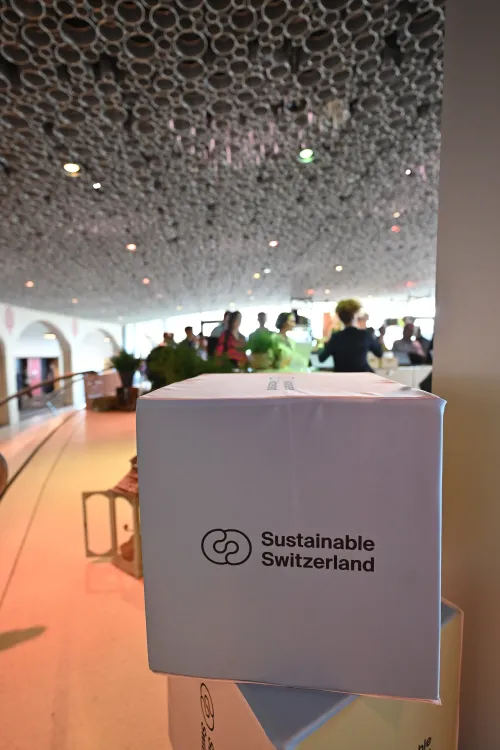 SSF_23-Fotos_WEB_2400px-Netzwerkzone-137