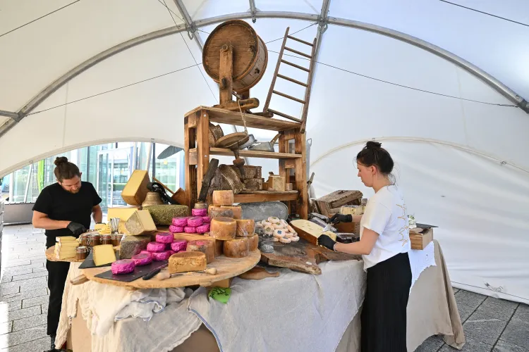 SSF_23-Fotos_WEB_2400px-Sustainable_Switzerland_Night-057