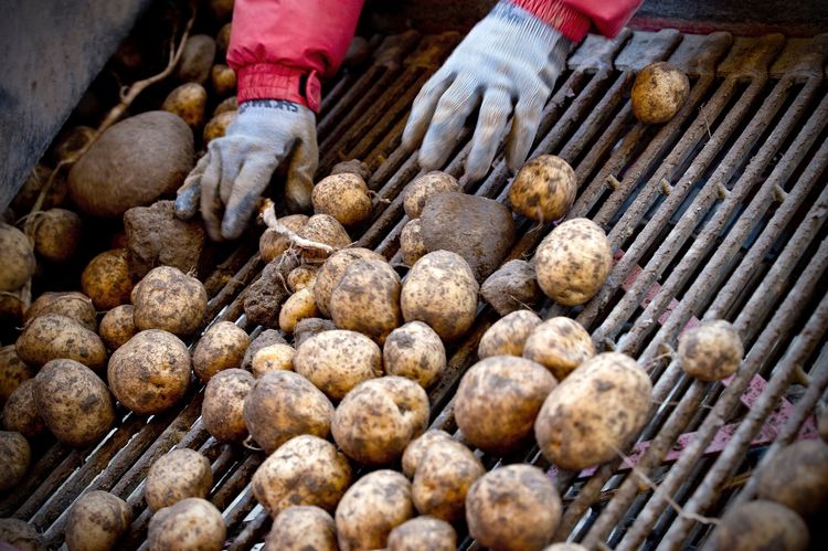 Bild: Adrian Baer / NZZ