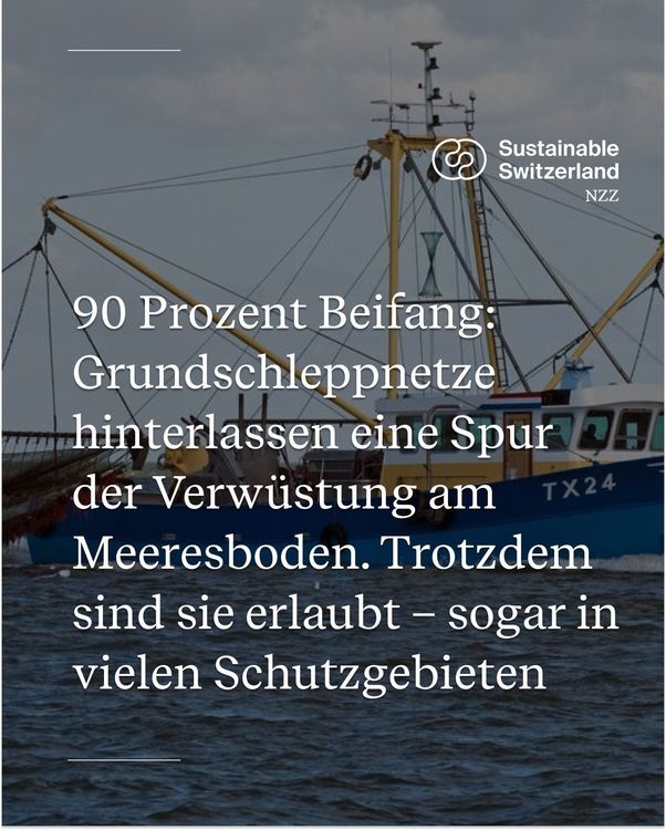 Instagram image