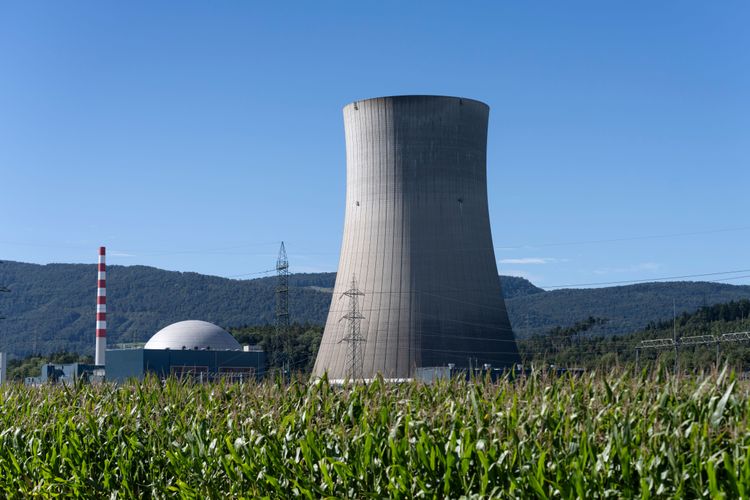 Bild des Schweizer AKW Gösgen hinter einem Feld