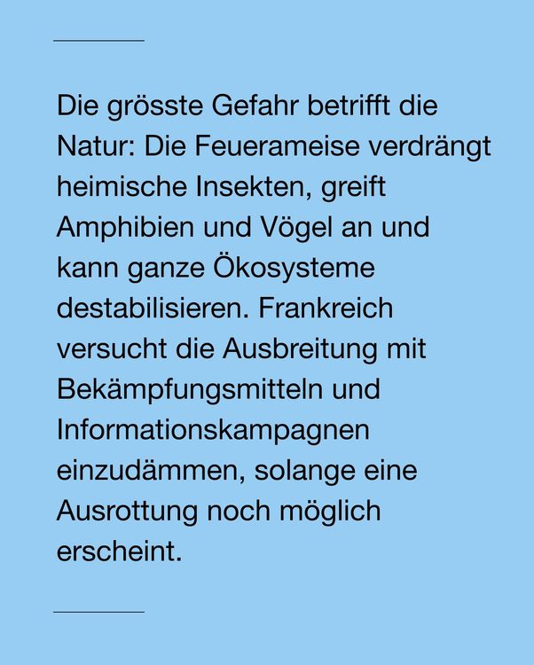 Instagram image