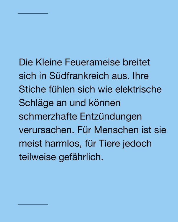 Instagram image