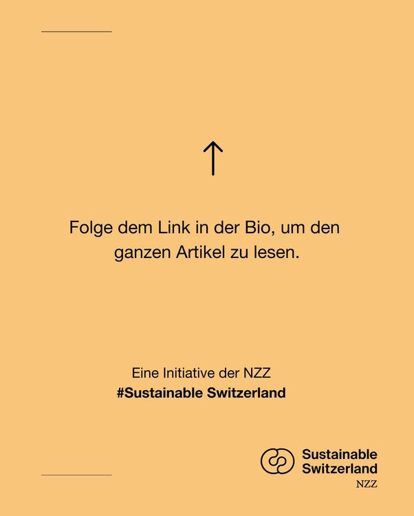 Instagram image