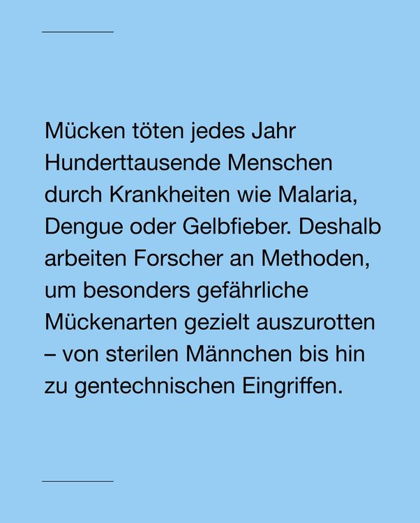 Instagram image