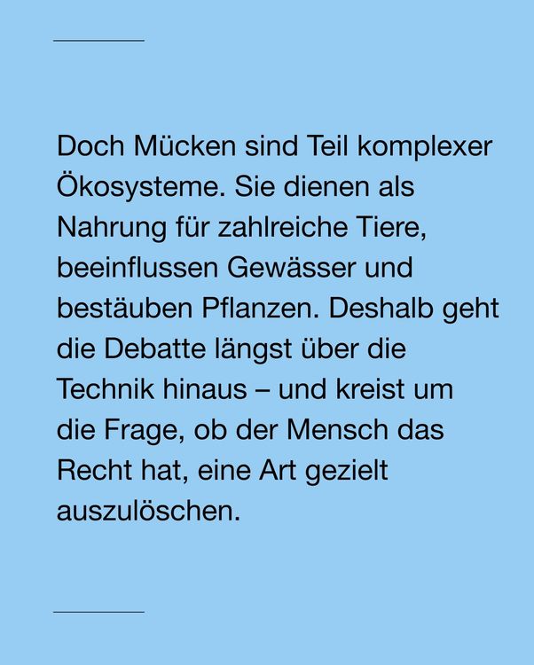 Instagram image