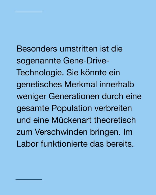 Instagram image