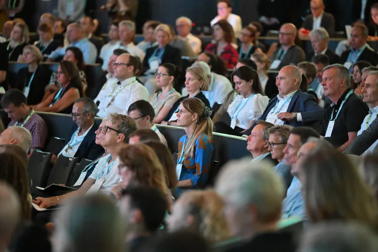 SSF_23-Fotos_WEB_2400px-Mainstage_1-086