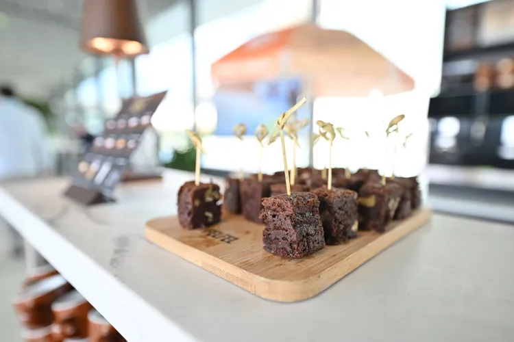 SSF_23-Fotos_WEB_2400px-Netzwerkzone-144