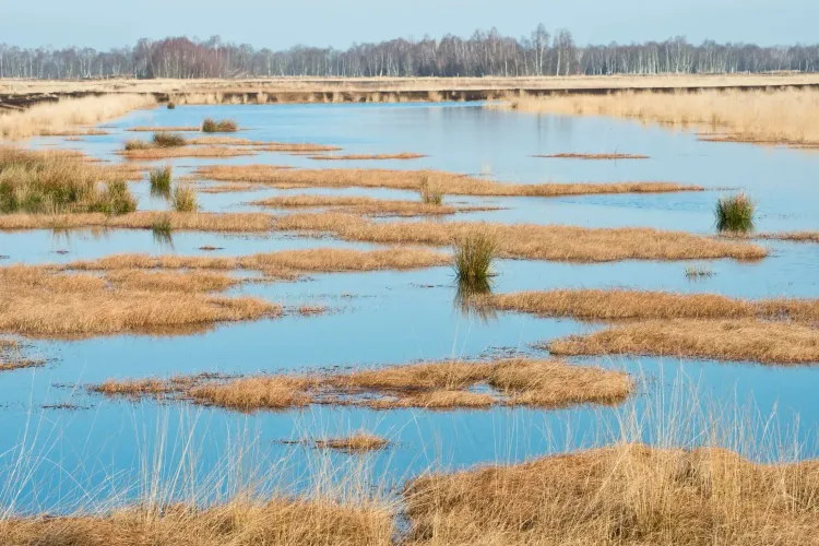 Bild: Erhard Nerger/Imago