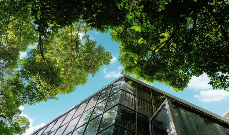 Haus mit Glasfassade und Bäumen, die Nachhaltigkeit verdeutlichen sollen