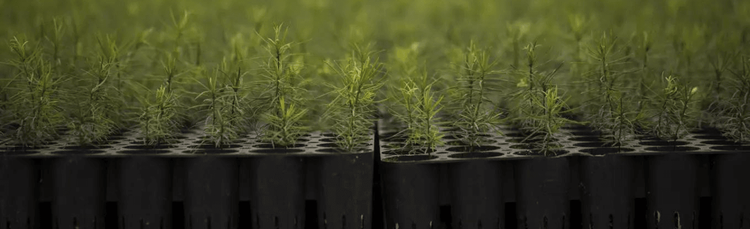 Herkulesaufgabe für den Klimaschutz: Der Luft mehr CO2 zu entziehen, wäre nützlich – was aber fehlt, ist ein Patentrezept