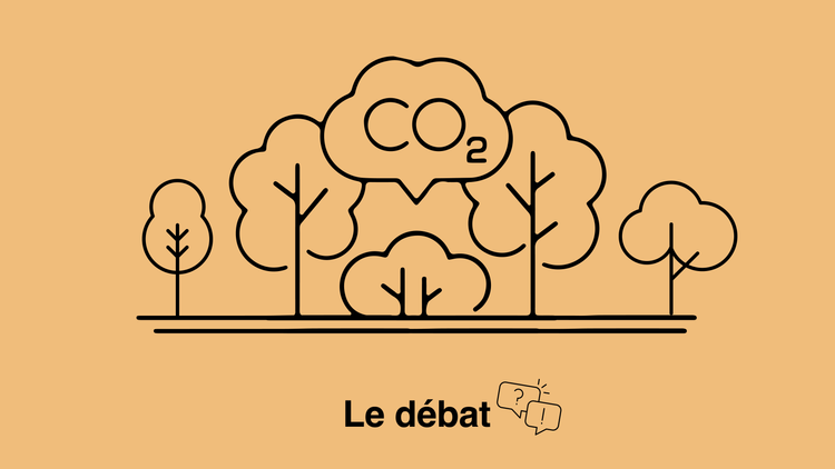 Les émissions de CO2 à l'étranger sont-elles durables?