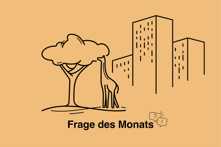 Grünere Städte oder Wohnraum für alle?