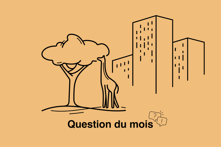 Des villes plus vertes ou des logements pour tous?