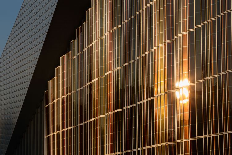 Foto: EPFL / CHRIS BLASER