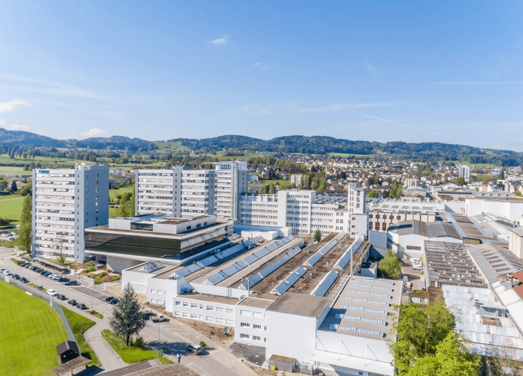 Bühler, Patagonia, Microsoft: wie Firmen ihren Sinn finden und damit erfolgreich sind