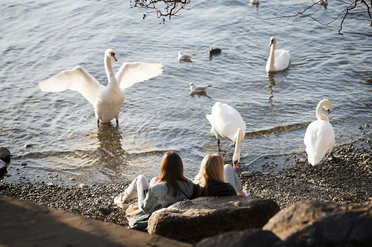 Frauen am Ufer des Zürichsees