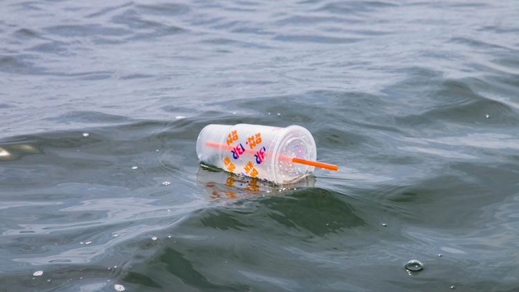 Plastikverschmutzung