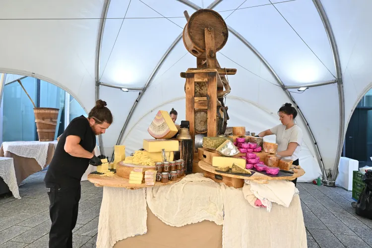 SSF_23-Fotos_WEB_2400px-Sustainable_Switzerland_Night-056