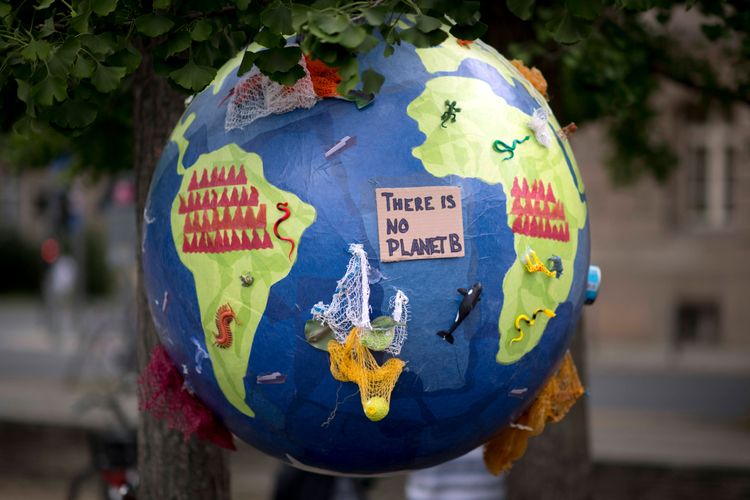 I partecipanti a uno sciopero per il clima reggono dei manifesti