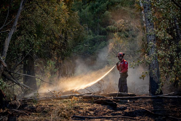 Ein Feuerwehrmann löscht ein Feuer in einem Wald in Kanada