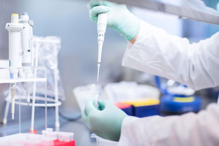 Forscher unternehmen einen Gentenst in einem Labor. 