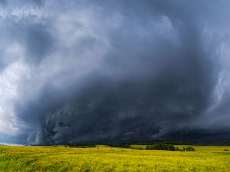 Bild: Sylvio Dittrich / imago