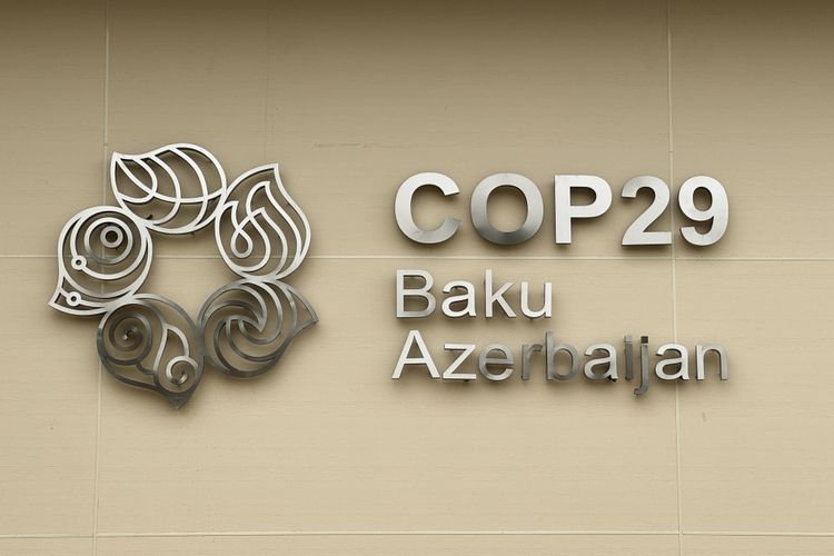 Ab dem 11. November findet in Baku die wichtigste Klimakonferenz der Welt statt