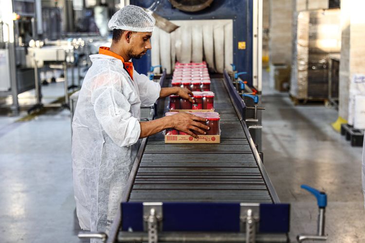 Mitarbeiter einer Fabrik kontrolliert abgepackted Tomatenmark 