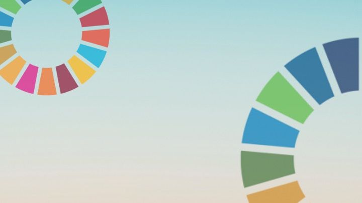 Nachhaltige Geschäftsinnovationen entwickeln