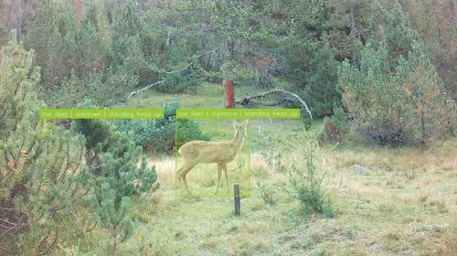 Foto: A. Mathis, EPFL